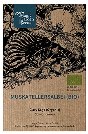 Sauge sclarée, orvale (Salvia sclarea) bio env. 50 semences