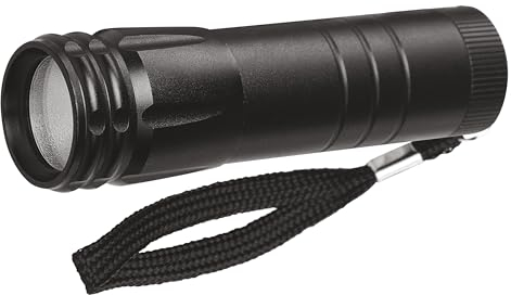 EMOS Mini lampe de poche LED avec boucle, étanche IP43, flux lumineux 120 lumens, portée d'éclairage de 20 m, à piles