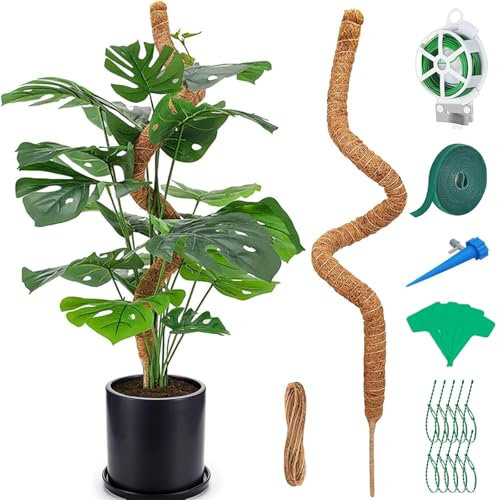 weiclianhp Palo di Muschio 125 cm per Monstera, Supporto per Piante Rampicanti con Accessori Inclusi - Tutoraggio Rinforzato per Piante da Interno, Pianta Stelo Verde Naturale, Moss Pole