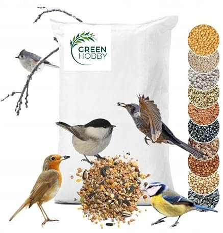 Green Hobby 5 kg de comida para pájaros, comida para aves silvestres