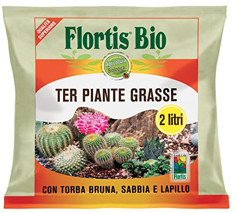 FLORTIS Terreau pour plantes grasses 2 l soin des plantes intérieures extérieures