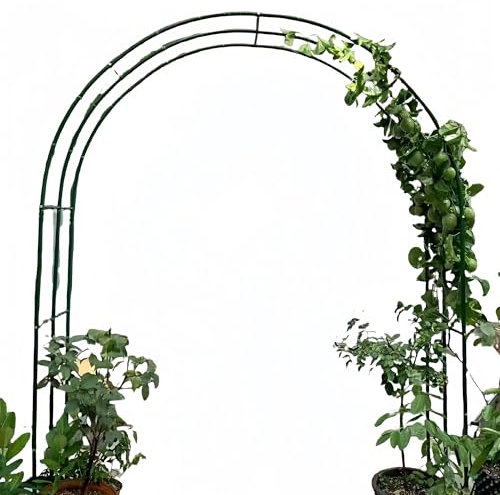 Romántico pabellón de jardín con arco de rosas para plantas trepadoras y verduras