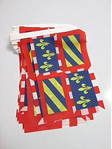 AZ FLAG - Guirlande Drapeau Bourgogne - 6 Mètres Avec 20 Fanions Bourguignon - France De 21x14 cm - Petits Drapeaux 100% Polyester - 60g