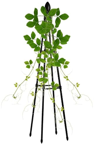 Enrejado de jardín – Obeliscos de metal para plantas trepadoras | Marco de guisantes dulces de jardín inoxidable | Marco de soporte resistente para plantas trepadoras al aire libre, enredaderas