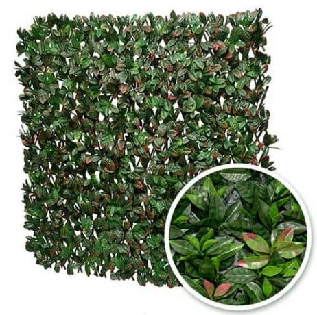 Atout Loisir Treillis Extensible Feuillage photinia, Long 12 m, Hauteur 1 m