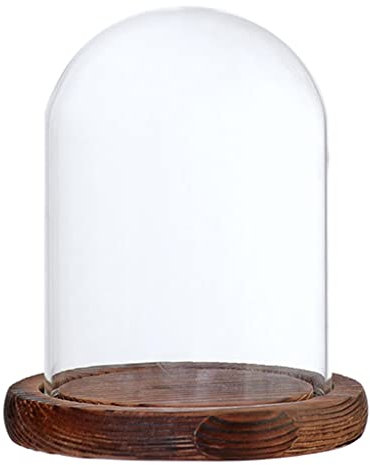 Colcolo Cloche de Dôme en Verre avec Couvercle en Bois de Support de Paysage de Fleur de Base, Brown B