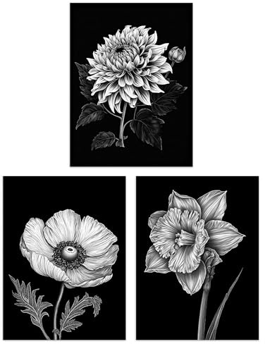 Artery8 Set of 3 Elegant Single Chrysanthemum Poppy Daffodil Spring Flower Black White Floral Impact Artwork Unframed Wall Art Living Room Poster Prints Pack