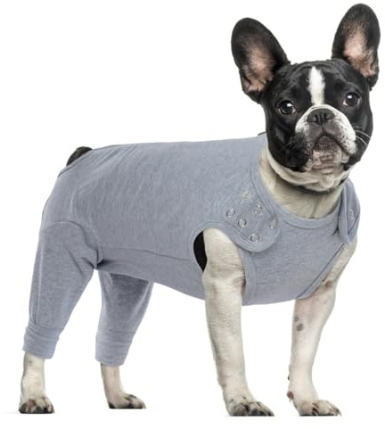 PUMYPOREITY Hundbody, Op Body Kastration Hund Body Operation Hund Body med ben liggsvingar hund läckageskydd bakben knäbandage bandage ben (grå, M)