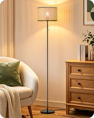 EDISHINE Lampada da Terra Soggiorno, Piantana Moderna Nera con Paralume in Rattan e Interruttore a Tirante, Attacco E27 con Lampadina LED Inclusa, 2700K Bianco Caldo per Camera da Letto, Corridoio