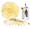 Arotelicht 5M LED Streifen IP65 wasserdicht Kit 4000K Neutralweiß 12V 300LEDs mit Netzteil 5050SMD LED Leiste Strip Stripe Band Streifen Lichtleiste Lichterkette Lichter 60LEDs/M