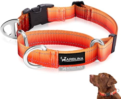 Arblina Collar Martingale para perros grande, mediano y pequeño, collar de perro con hebilla resistente con anillo de etiqueta, collar reflectante de nailon degradado, collar de entrenamiento sin