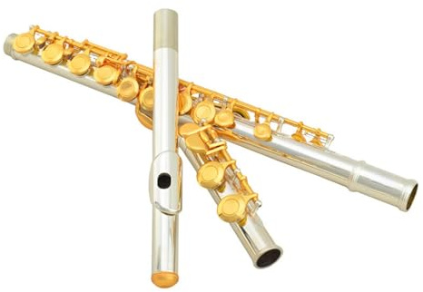 tvärflöjt instrument Nybörjare flöjt instrument C nyckel flöjt instrument