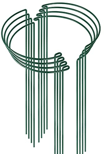 HiGift Peony Cages and Supports 24 H x 10 W, 8 Pack Tall Snake Plant Support Stake Half Round Metal Garden Stake for Indoor and Outdoor Plants, Flower Support Ring Border for Tomato,Hydrangea,Rose