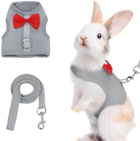 GGUFAY Arnés Con Correa Para Conejo y Animales Pequeños, Accesorio Ajustable y Transpirable Arnés Lindo y Correa, para Conejo Cachorro Pequeñas Mascotas(A)