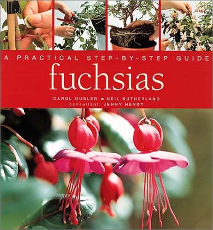 FUCHSIAS STEP BY STEP