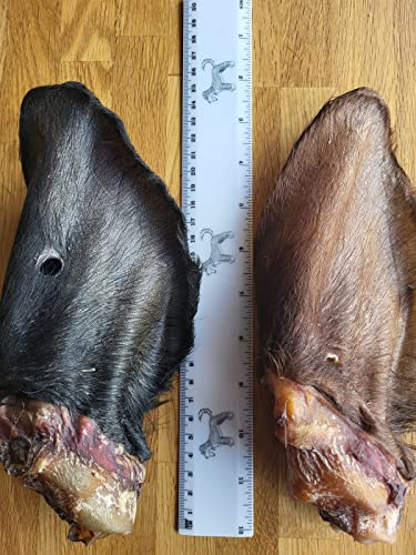 Kaureks Natur Hundeleckerlies, Rinderohren mit Fell und Muschel 10 STK. Kausnack, wie Rinderkopfhaut
