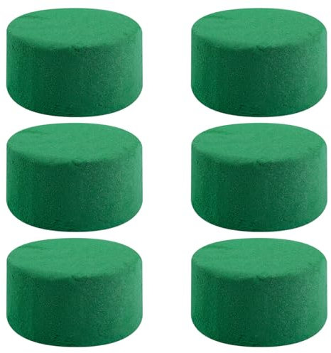 Lotsdonxia 6 Pcs Floral Foam Blocks – Foam Bricks for Flower Arranging, Wedding Decorations, Artificial Flowers, Craft Tray Floristry Supplies (Green)