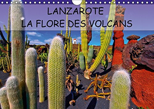 LANZAROTE LA FLORE DES VOLCANS (Calendrier mural 2018 DIN A4 horizontal): LANZAROTE DES CHAMPS DE LAVE NATURELLEMENT FERTILES (Calendrier mensuel, 14 Pages )