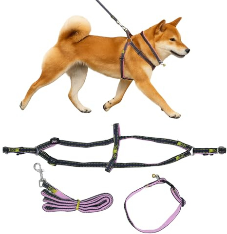 Adopet Adjustable Cat Harness, Leash and Collar Set for Medium Cats, Lightweight Breathable Walking Harness with Matching Leash and Bell Collar (Pink, Large)