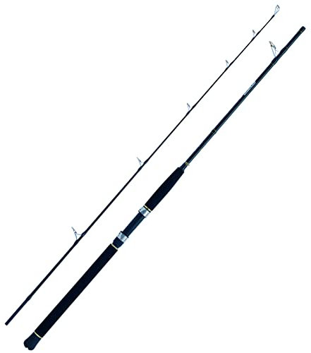 WFT Sea Dart Special Fjord 2pc. 2,10m 12lbs 20-160g Norwegenrute Angelrute