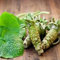 200pcs / lot Semi Wasabi, rafano giapponese di verdure semi per piantare facile da coltivare piante bonsai piante giardino domestico di DIY