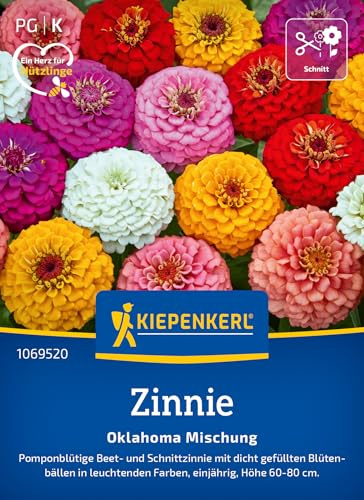 Kiepenkerl Zinniensamen Oklahoma Mischung 1069520, Sommerblumensaat