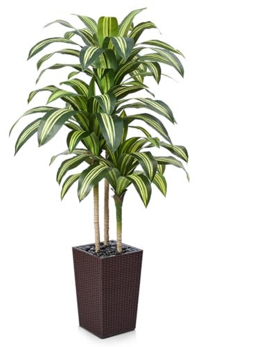 VeriNatural Künstlicher Drachenbaum 150 cm Kunstpflanzen Groß - UV-beständige künstliche Pflanze mit 57 Blättern, Braun Topf & Flusssteinen - Deko Pflanze für Wohnzimmer Büro Indoor Outdoor, VN127