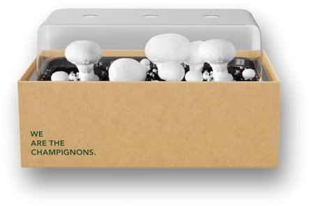 Bloomify® Pilzzucht-Set Champignon weiß | Pilzbrut Komplett Set für Anfänger ohne Vorkenntnisse | Pilze züchten zu Hause | Pilzkultur zum selber züchten