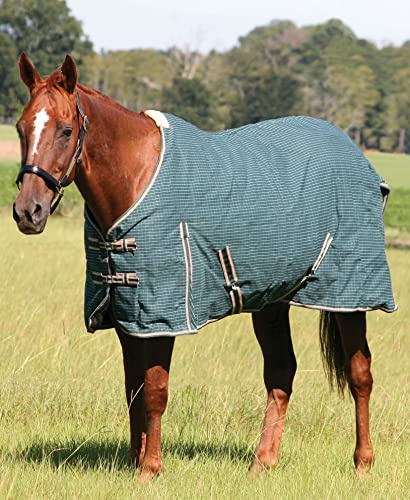 Jeffers Equine Basic Canvas Horse Blanket, 75 – Water Resistant Turnout Blanket for Horses, Pony, Draft – Breathable, Adjustable Straps, Tail Flap, Shoulder Gussets, Barn Gear - Green Tan Check