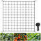 Scrog Netz Pflanzennetz, Elastische Spalier Netz mit 4 Haken, 120cm x 120cm - 150x150cm Garten Netz Pflanzen Netz, Pflanze Unterstützung Netz für Gemüse Früchte Blumen, Gurkennetz für Gewächshaus