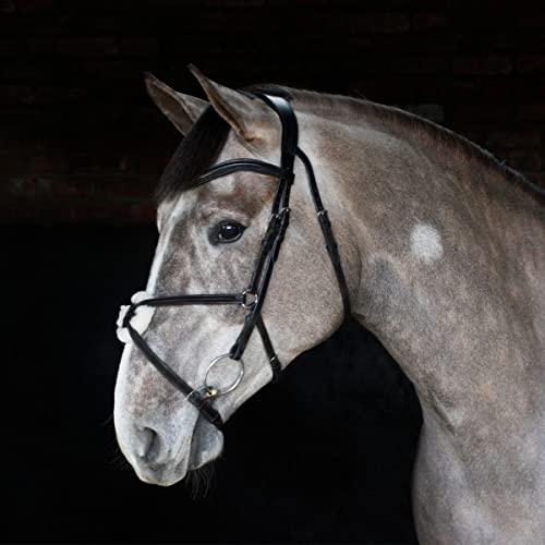 Harry Hall Cottage Craft Grackle Bridle Black | Anatomical Horse Bridles | Grackle Noseband For Full | Leather Tack