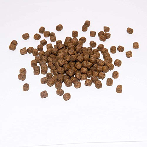 Warnick´s Tierfutterservice Koi Koifutter * Top Energy Plus * 15KG 8mm