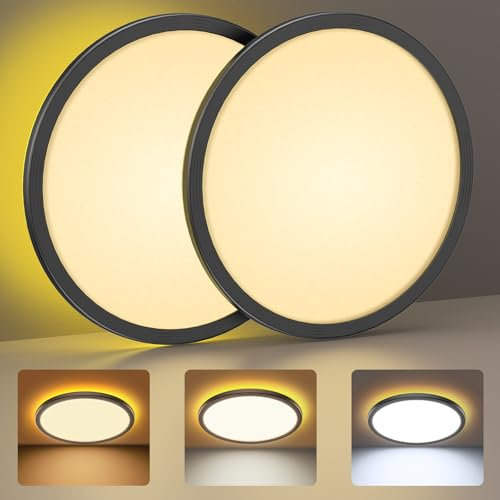 COFEMY LED Deckenleuchte - 24W Deckenlampe 3000K/4000K/6500K, 2000K Warm Nachtlicht, Modern Schlicht Ultra Dünn Lampe für Schlafzimmer/Kinderzimmer/Wohnzimmer/Balkon/Keller/Flur Ø30cm(Schwarz 2PCS)