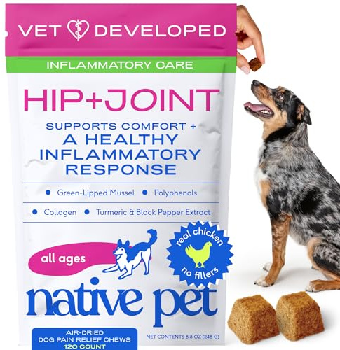 Native Pet Inflammatory Care - Pain Relief for Dogs - Green-Lipped Mussel, Turmeric & Collagen for Dogs - Hip and Joint Supplement Supports Healthy Inflammatory Response & Joint Comfort - 120 Chews