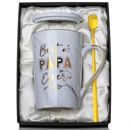 Papa Geschenk Weihnachten Geburtstag, Bester Papa Weihnachtsgeschenke für Papa, Werdender Papa Geschenke, 400ml Grau Marmor Tasse mit Goldener, Deckel Löffel Grußkarte, Geschenkbox
