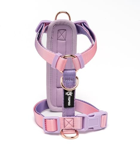 TSPRO Hundegeschirr Mittelgroße Hunde, No Pull Hundegeschirr Leichtes Gewicht Adjustierbar Gradientfarbe Geschirr für Hunde mit Schnellspanner Atmungsaktiv und Langlebig (Lila Pink, Größe 2)