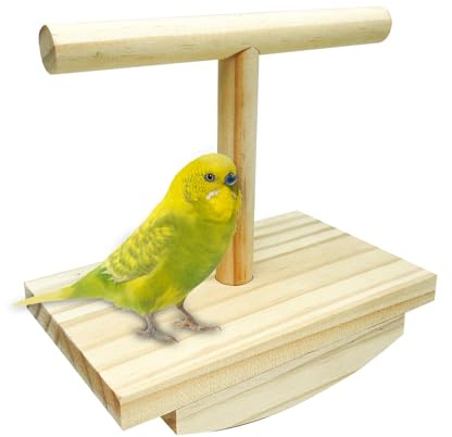 Perche à oiseaux, jouet swing naturel | Station d'entraînement interactive pour oiseaux | Perche debout pour cage à oiseaux, bureau, observateur d'oiseaux | Accessoire durable pour jouer