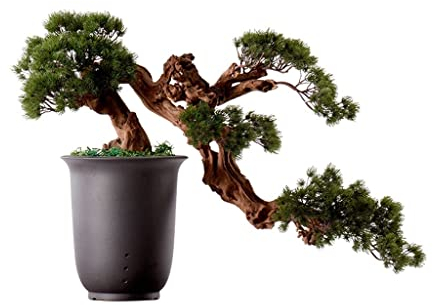 Simulation Topfpflanzen Bonsai Baum Künstlicher Baum Bonsai Kiefer Nadelbaum Bonzai Baum Keramiktopf Schnitzkunst Textur (Schwarz)
