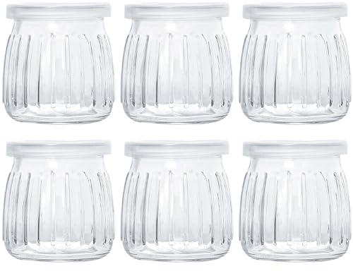Danmu Art 6 Pcs Yogurt Pudding Glass Storage Jars with Plastic Lids Vertical Pattern Glass Bottles (200ml)