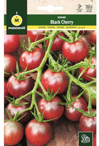Mascarell Semillas, TOMATE, Semillas Huerto, TOMATE BLACK CHERRY, Crea tu Propio Huerto Urbano y Cultivo en Casa, Plantas Hortícolas, 0,2 Gramos
