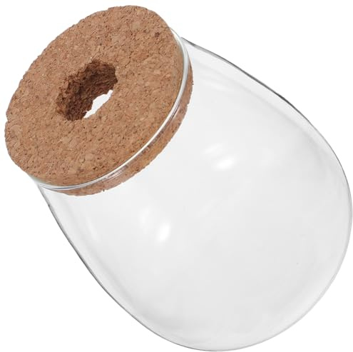 FUTUREORYY Vase Hydroponique en Verre Grosse Taille avec Bouchon en Liège Perforé, Contenant pour Propagation de Plantes D'intérieur, Vase à Eau pour Racines, Décoration Bureau et Maison,