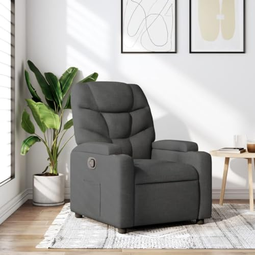 GuyAna Sillón reclinable de Tela Gris Oscuro Sofa Individual Sillon Masaje Relax Sofa 1 Plaza