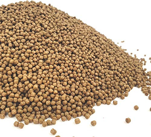 The Aqua Shack Turtle & Terrapin Pellets - Reptile Food Spirulina Chlorella Garlic Fish Shrimp (100g)