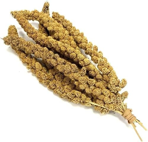 Millet Sprays x 3 Premium Cage Bird Food Seed