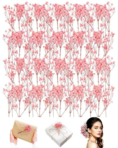 ZAMXHUG 50pcs Gypsophila Essiccata Fiori Secchi Decorativi Piccoli Fiori Pressati Rosa Naturali Adatto per Artigianato Fai-da-te, Candele, Manicure, Custodie per Cellulari