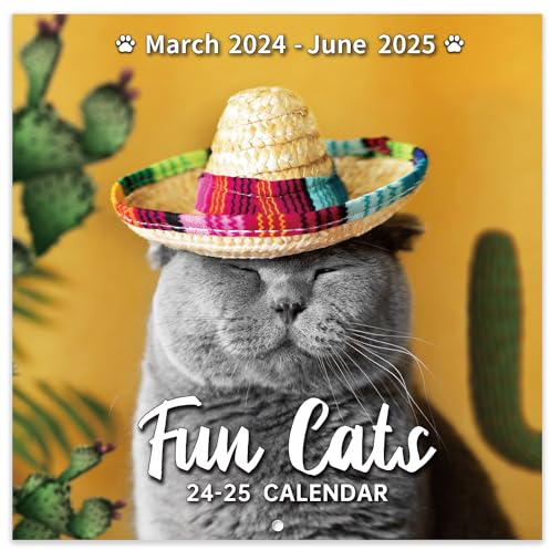 Calendar 2026-2027 - Wall Calendar 2026-2027, JUL 2026 - DEC 2027, Funny Cats Calendar 26-27, Wall Calendar 18 Month, Funny Cat Memes Pics, 12'' x 24'' (Open), Unruled Block, Hanging Hole, Holidays