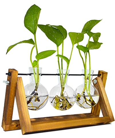Propagation Station, Ableger Pflanzen Glas für Hydroponische Pflanzen, Pflanzenterrarium mit Holzständer Schmücken ​Büro, Esstisch, Interieur(3 Bulb Vase)