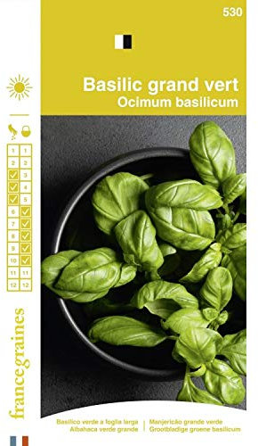 France Graines - Basilic Grand Vert