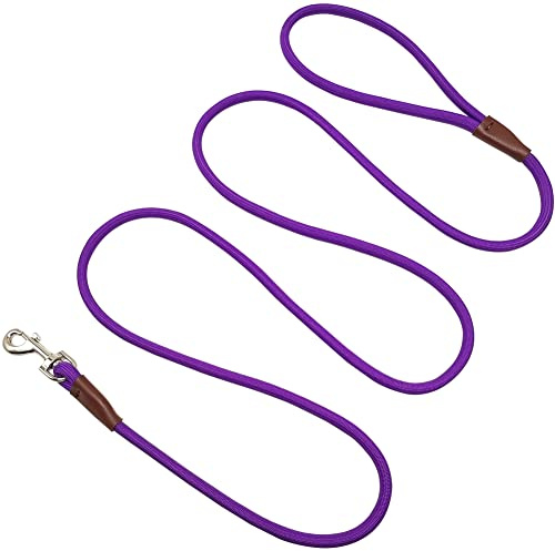 SEPXUFORE Small Dog Leash, 1/4 by 6/8/10 FT Lightweight Strong Nylon Rope Leash, Bright Classic Lead for Small Pets/Puppy/Cat (10ft, Purple)