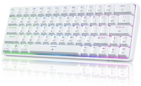 Dierya Teclado Mecánico Gamer Inalámbrico 60% DK63 con Bluetooth/2.4G/Type-C,Red Switch Gaming Mechanical RGB Keyboard,Teclado Ultra-Compacto 68 Teclas para PC/Win/Mac,QWERTY,Blanco